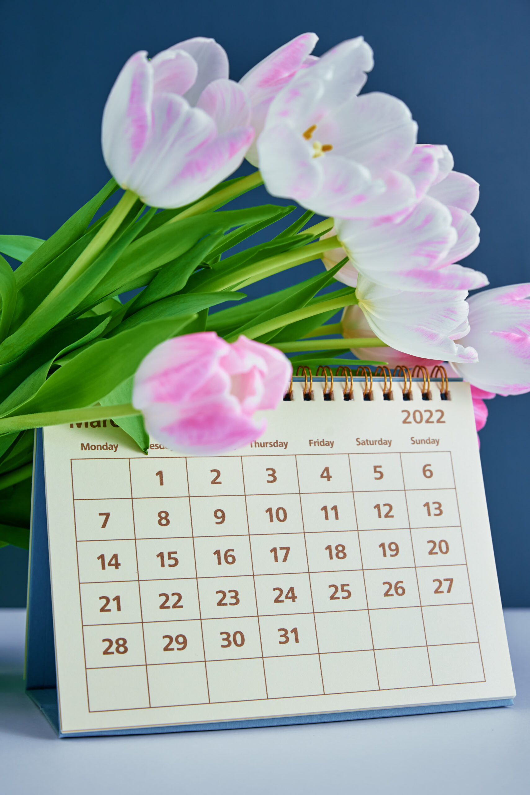 March calendar and flower bouquet, Hello spring concept, International woman day greating card